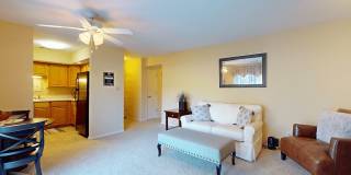 Village Royale Gallery 11
