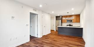 Graduate Pointe Gallery 100