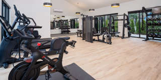 The Rigney Gallery 24