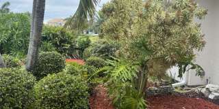 317 Lanternback Island Drive Gallery 5
