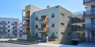 The Willows Gallery 12