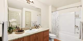 Jasper Apartments Gallery 7
