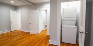 Garden Arch Gallery 5
