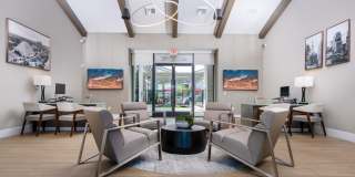 The Strand Gallery 7