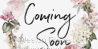 2477 Northwest 40th Street Gallery 1