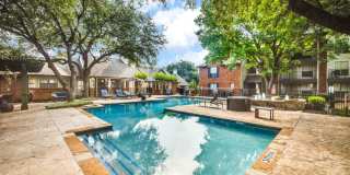 Tenison at White Rock Gallery 20