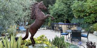 1122 Palomino Road Gallery 44