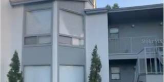 2510 LEMON TREE LANE Gallery 1