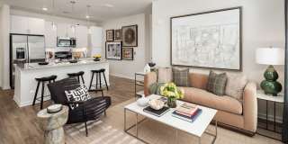The Duke Metrocenter Gallery 20