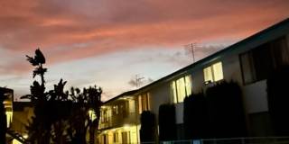 3747 CLARINGTON AVE Gallery 10