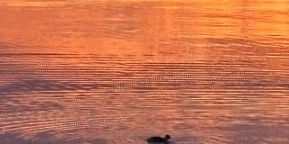 27571 Sandy Shores Dr Sw Gallery 15