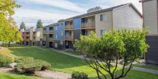 Homestead Apartments Gallery 5