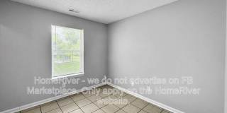 4118 CANDY APPLE Gallery 19
