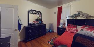 14 Davison Street Gallery 4