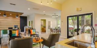 Spring Park Gallery 4