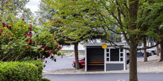 Whimsical Pig Gallery 26