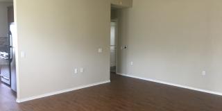 South Austin Home on Cul-de-Sac  - Colorado Crossing Gallery 5