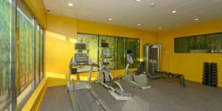603 Concord Gallery 3
