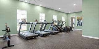 Tempo at Grand Park Gallery 24