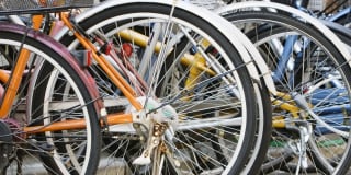 Avana Evergreen Gallery 62