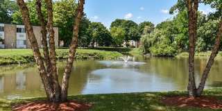 Harbor Lake Gallery 22