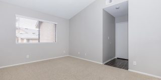 Mountain Springs Gallery 36