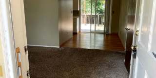 STUDENTS WELCOME! 4 Bed 2 Bath Home in West Ft Collins w/ Garage and Fenced Yard Gallery 5