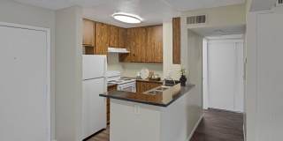 4200 Paradise Gallery 3