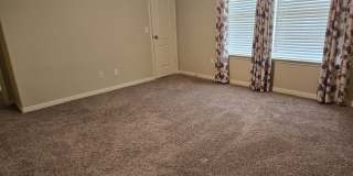 2738 Cinnamon Teal Gallery 10