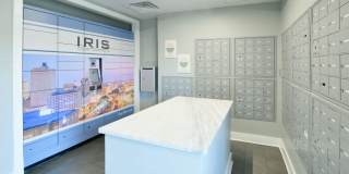 Iris Gallery 29