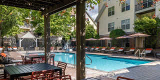 Avalon at Chestnut Hill Gallery 39