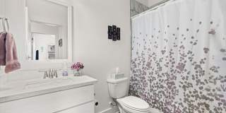 81 Date Palm Lane Gallery 24