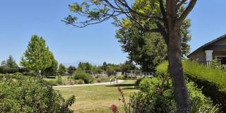 31810 Ives Court Gallery 22