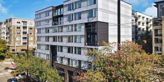Our Newest Luxury Studios in Ballard! Gallery 32