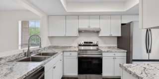 227 CRANES LAKE Drive Gallery 14