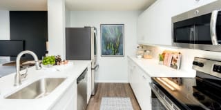 The Douglas Gallery 1