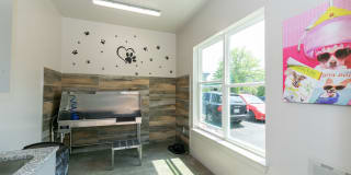 Sugarloaf Grove Gallery 15