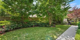 102 Orchid Gallery 14