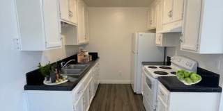 Grove Terrace Gallery 1