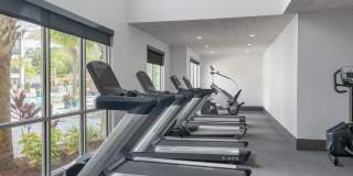 Cue Luxury Living Gallery 19