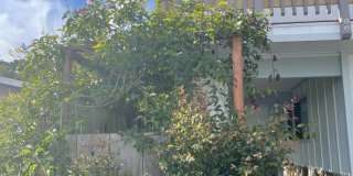 671 Lily Street - Upper level Gallery 22