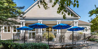 Magnolia at Milton Gallery 16