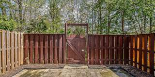 8606 ROCKY GAP Court Gallery 22
