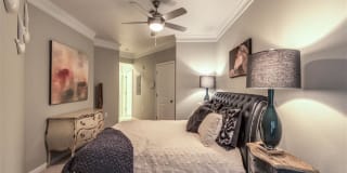 The Circle at Hermann Park Gallery 17