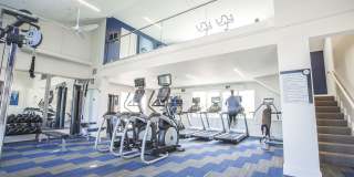 Coleman Canal Winchester Gallery 6