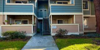 Remodeled 1 Bed 1 Bath Condo. Stainless Steel Appliances. Pool and Hot Tub Gallery 1