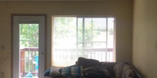 Great Condo, Great Location Gallery 1