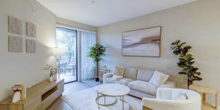 Mayla Pompano Gallery 39