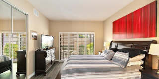 54838 Oak Tree Gallery 24