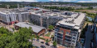 The Griff Gallery 44